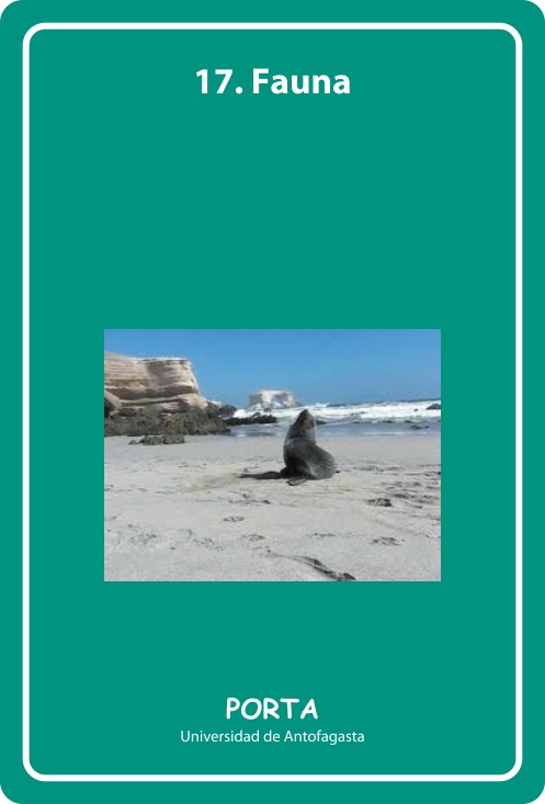 Portada Frontal